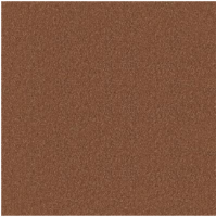 Magnifico saffraan 0340